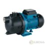 Powerline PL-60 Plastic Self Priming Water Pump 0.5HP